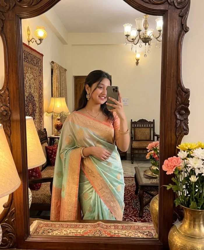 Traditional Saree Mirror Look sample